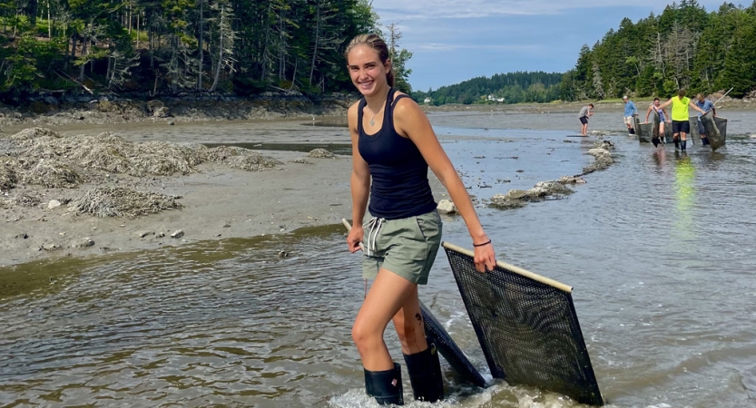 A person walks through shallow water, pulling an oyster basket